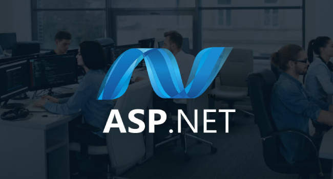 asp net development company