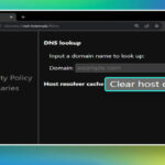 chrome //net-internals/#dns