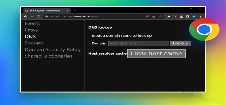 chrome //net-internals/#dns