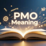 pmo meaning