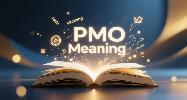 pmo meaning