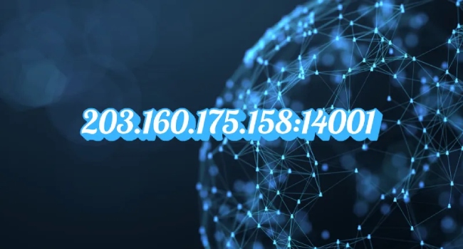 203.160.175.158:14001