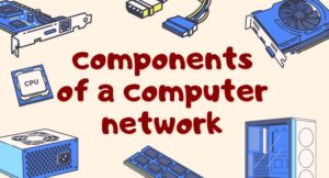 components of a computer network