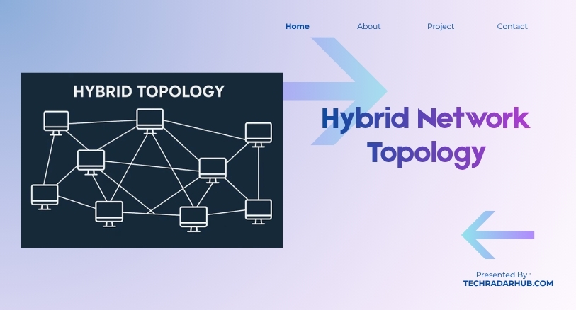 Hybrid Network Topology